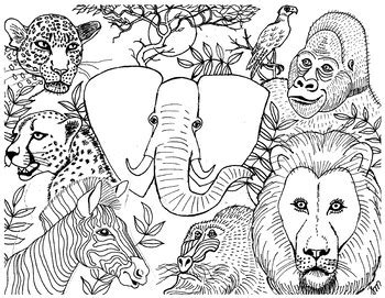 african animals colouring page  suzanne munroe french immersion