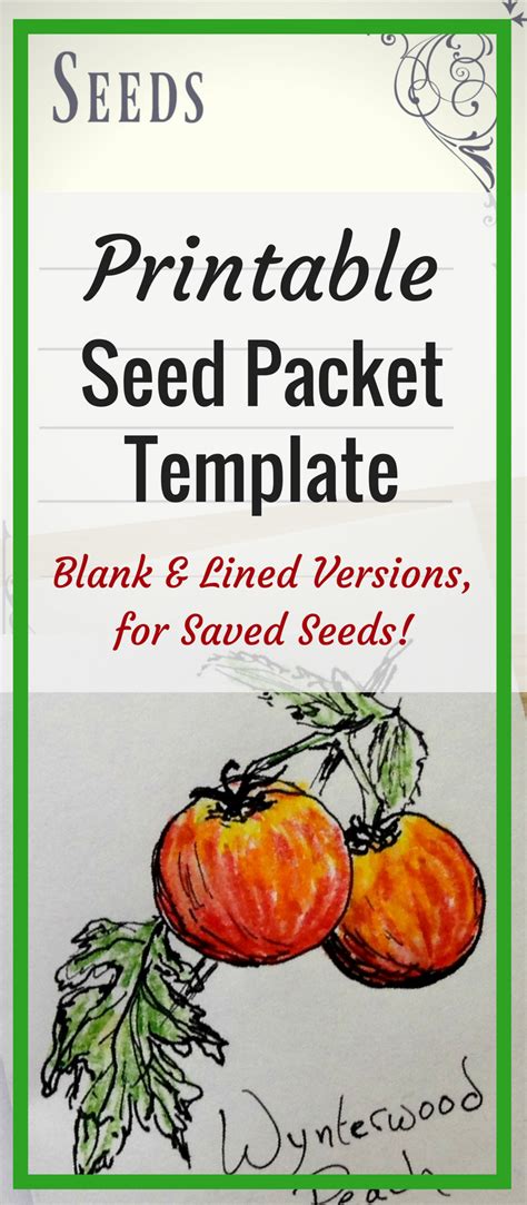 printable seed packets seed packet template seed packets seeds