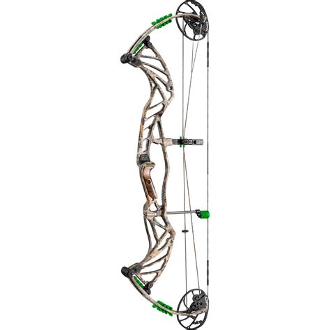 hoyt double xl bow borkholder archery