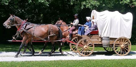 wagons  dabney horsemanship