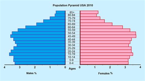 how to make a population pyramid youtube