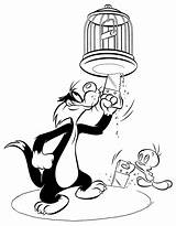Sylvester Tweety Piu Looney Tunes Titi Frajola Dessiner Fazendo Armadilha Desenho Tudodesenhos Primanyc Dentistmitcham Silvester sketch template