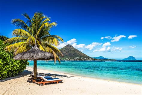 good reasons  plan  vacation  mauritius    holiday