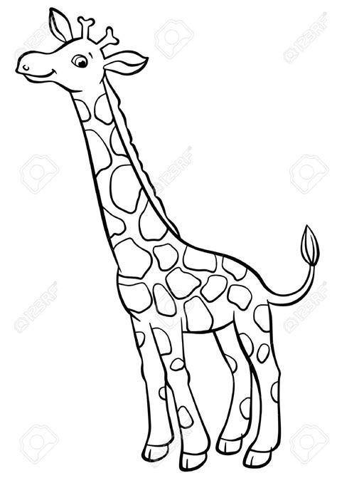 coloring pages animals  cute giraffe stands  smiles stock