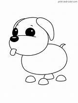 Adopt Dog sketch template