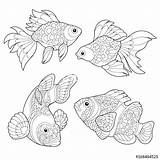 Coloring Goldfish Pages Matisse Fish Drawing Book Henri Color Getcolorings Zentangle Antistress Freehand Clown Sketch Adult Style Printable Getdrawings sketch template