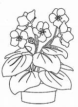 Colorat Flori Primavara Planse Viorele Desene Violete Toporasi Universdecopil Primăvară Articole Relatate Asemanatoare Interferente sketch template