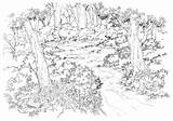 Coloring Forest Fantasy Pages Ix Final Vignette2 Nocookie Wikia Thriving Detailed Sheets sketch template