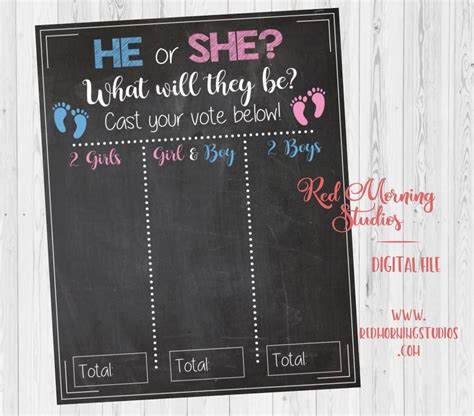 Twins He Or She Gender Reveal Guess Sign Printable Gender Reveal