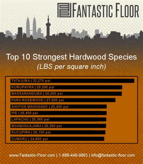 fantastic floor hardwood strength  species   infographic