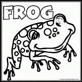 Frosch Frogs Grog Coloringhome sketch template