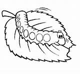 Caterpillar Hungry Clipart Cliparts Outline Coloring Pages Printables Very Kids Clipartpanda Powerpoint Panda Library Transparent Presentations Use Projects Websites Reports sketch template