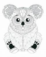 Coloring Pages Hard Animal Koala Getcolorings Color Getdrawings sketch template