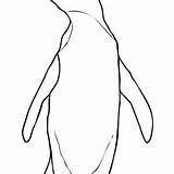 Penguin Coloring Drawing Rockhopper Eyed Realistic Yellow sketch template