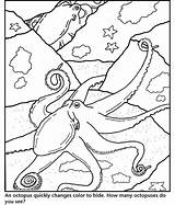 Coloring Octopus Pages Printable Print Kids Color Animal Book Ocean Monterey Bay Kelp Forest Colouring Aquarium Dr Getcolorings Popular sketch template
