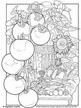Ausmalen Wasserfarben Dover Publications Veggie Coloriages Doverpublications sketch template