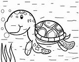 Turtle Sea Coloring Pages Cartoon Getcolorings Printable Color sketch template