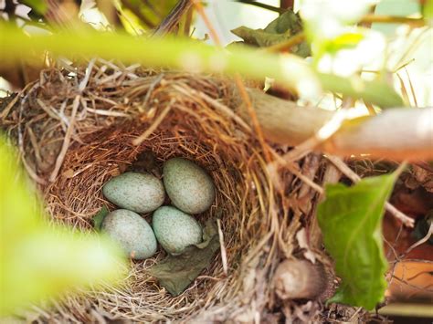 long term savings building  nest egg pt money