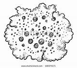 Lichen Clipart Lichens Designlooter Clipground 68kb 394px sketch template