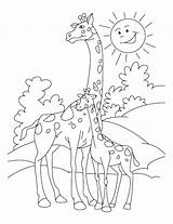 Giraffe Coloring Pages Baby Color Printable Getcolorings Print sketch template