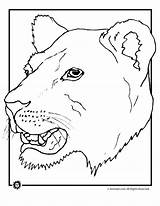 Coloring Lion Pages Lioness Face Animal Print Gif Popular sketch template