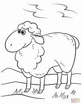 Oveja Ovejas Cartoon Dibujo Sheep Schaf Borrego Schafe Carnero Süßes Corderos Cordero Bailando sketch template