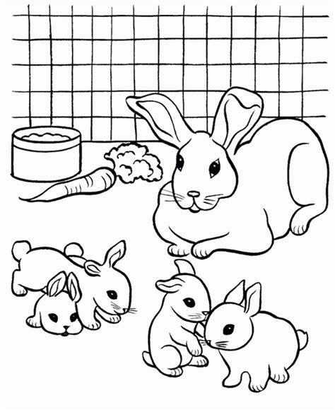 coloring pages  rabbit coloring pages