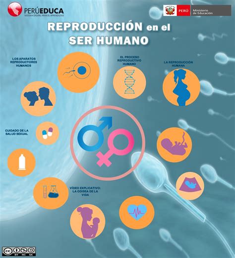 reproducción en el ser humano y cuidado de la salud sexual