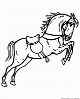 Cheval Coloriage Galop Horse Coloring Au sketch template
