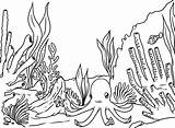 Arrecifes Colorear sketch template