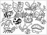 Insects Insect Insekten Preschool Justcolor Malvorlagen Ausdrucken Ausmalen sketch template