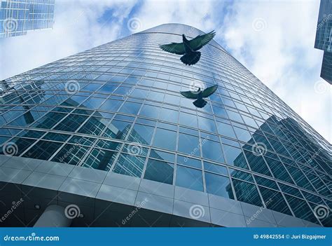 facade modern building  flying pigeons stock photo image  estate