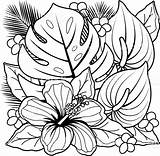 Coloring Hibiscus Flower Pages Getcolorings sketch template