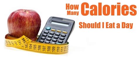 web calculator  calories   calories  eat  day calculoidcom