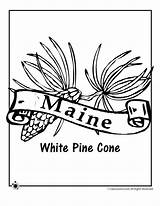Flower Coloring State Pages York Flag Maine Printable Symbols Pine Kids Cone Montana Flowers Color Getcolorings Jr Woojr Activities Getdrawings sketch template