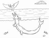 Tylosaurus sketch template