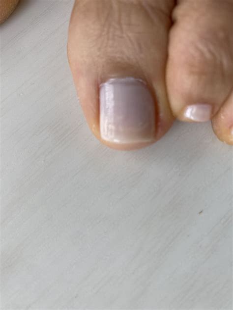 biscayne nails spa updated april     reviews