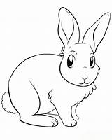 Kaninchen Ausdrucken Hase Ausmalbild Hasen Malvorlagen Mytie Frisur Wohnkultur Bastelideen Ausmalbildertv Bunny Malvorlage sketch template