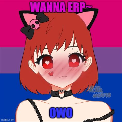 Image Tagged In Horny Cat Girl Imgflip