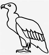 Vulture Coloring Pages Condor Bird Line Icon Scavenger Vultures Ultra African Drawings Drawing Transparent Carrion Death Realistic Nicepng Coloringbay Clipartmag sketch template