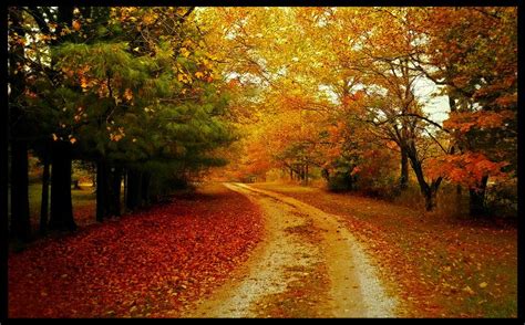 autumn  indiana indiana united states  america country roads