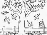 Maple Coloring Syrup Pages Education Tree Divyajanani sketch template