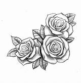 Drawing Roses Tattoo Rose Three Disegno Rosa Drawings Bianco Nero Open Side Fata La Matita Per Pencil Con Una Tattoos sketch template