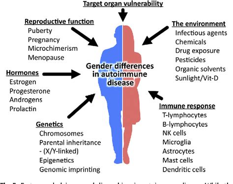 Figure 2 From Gender Differences In Autoimmune Disease Semantic Scholar