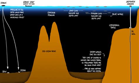 ocean  legit terrifying infographic illustrates staggering
