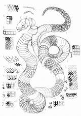 Snake Scales Draw Scale Schlange Snakes Zeichnung Drachen Schlangen Skizze Zeichnungen Fürs sketch template
