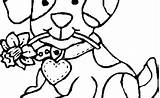 Bernese Mountain Dog Coloring Pages Puppies Getdrawings Getcolorings sketch template