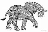 Elefant Ausmalbilder Cool2bkids sketch template