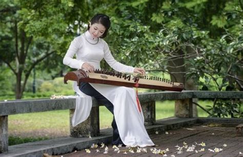 vietnam  tranh musical instrument entspannungsmusik chinesisch