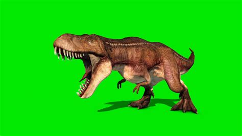 Tyrannosaurus 3d Model Animated Pixelboom